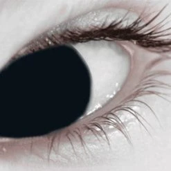 Mesmereyez Blackout - 1 Day Lenses Contact Lenses