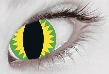Mesmereyez Contact Lenses Green Dragon - 1 Day Lenses 1 Mesmereyez Contact Lenses Green Dragon - 1 Day Lenses