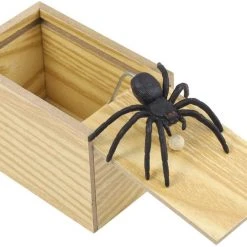 Out Of The Blue Practical Jokes Surprise Spider In Wooden Box
