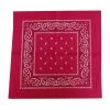 Wicked Nights Pink Paisley Bandana
