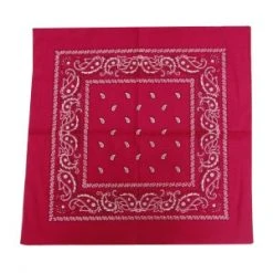Wicked Nights Pink Paisley Bandana