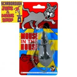 Funnyman Jokes Mouse In The House