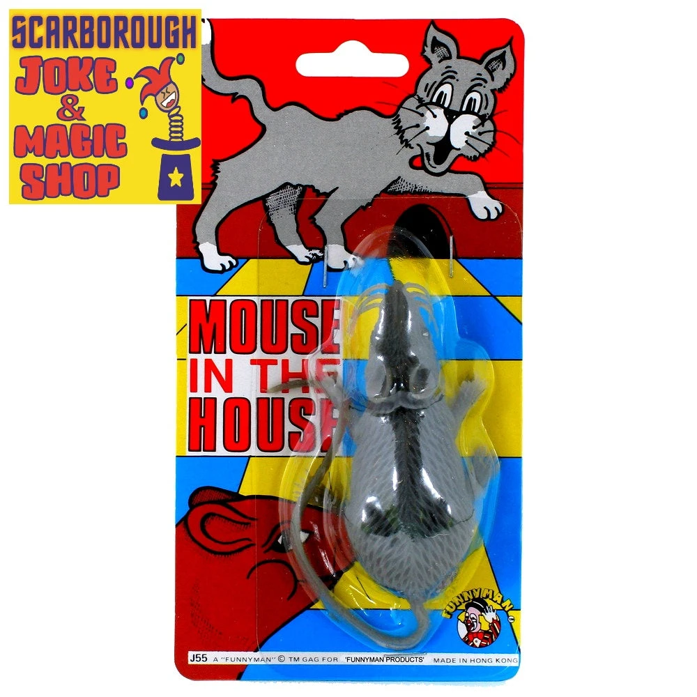 Funnyman Jokes Mouse In The House 2 Funnyman Jokes Mouse In The House