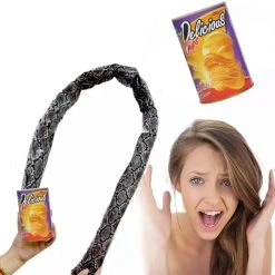 Bristol Novelties Ltd Surprise Snake In Crisp Can Practical Jokes