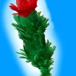 Funnyman Jokes Blooming Blossom Beginner Magic