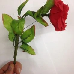 Funnyman Jokes Drooping Rose