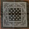 Wicked Nights Black Paisley Bandana Hats