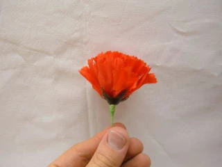 Funnyman Jokes Match To Rose 1 Funnyman Jokes Match To Rose