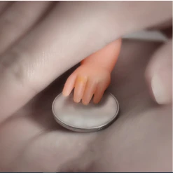 China Little Hand - Baby's Hand Body Parts 5 China Little Hand - Baby's Hand Body Parts